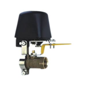 GAS SHUT VALVE